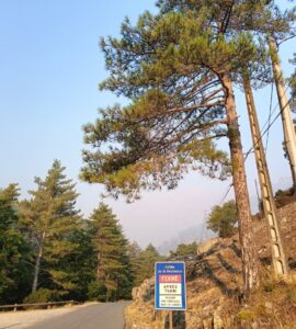 Incendie de la Restonica : nette amélioration de la qualité de l’air dans le cortenais
